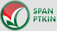 Website SPAN PTKIN