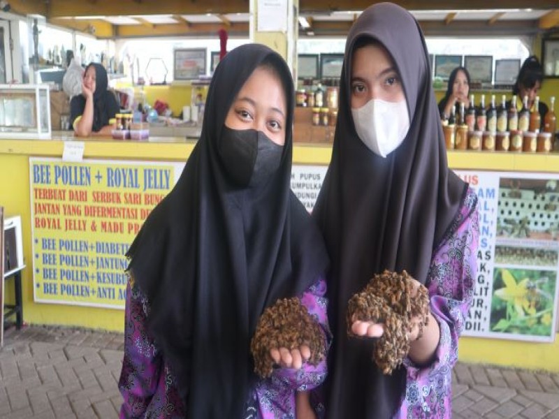 KTS di Petik Madu dan Kebun Teh Wonosari Lawang